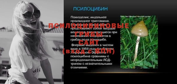 прущие грибы Инсар