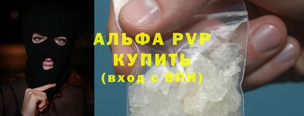 прущие грибы Инсар