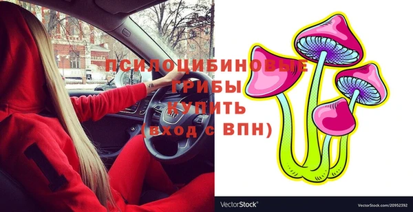 гашик Иннополис