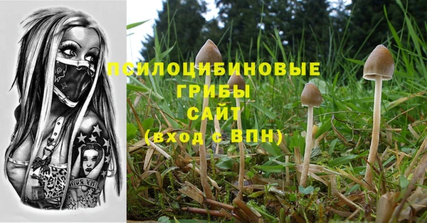 гашик Иннополис