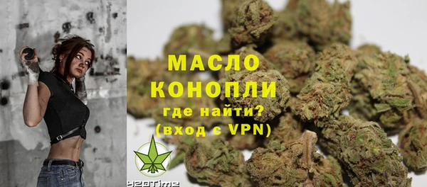 прущие грибы Инсар